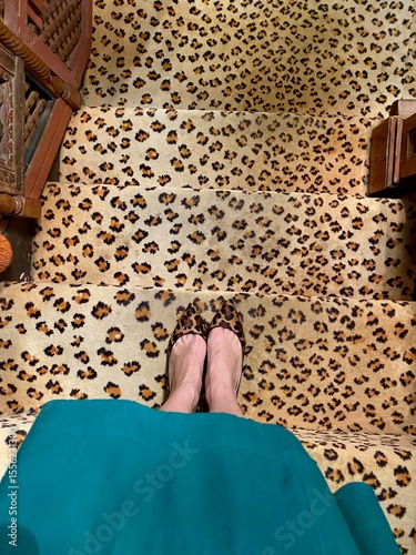 Leopard Print Carpet and Matching Flats on Staircase