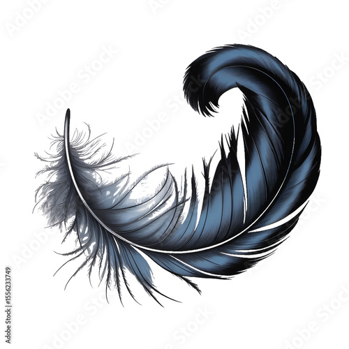 Dark Blue Feather: A single dark blue feather, elegantly curved, isolated against a white background. The feather's intricate details and subtle shading create a sense of delicate beauty and freedom.