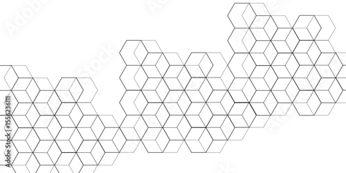 Digital geometric abstraction with lines and dots. Geometric abstract design. white background, seamless pattern of black hexagon grid line. Abstract background with hexagon, modern abstract polygonal
