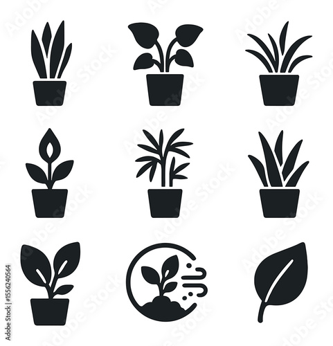 Air-Purifying Plant Icons. Solid, filled icons set of air-purifying plants: snake plant, pothos, spider plant,