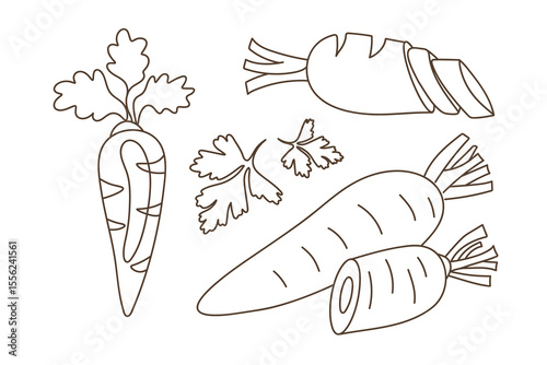 Collection of carrot elements with slices and greenery in clean contour lineart style, black stroke, isolated on white background