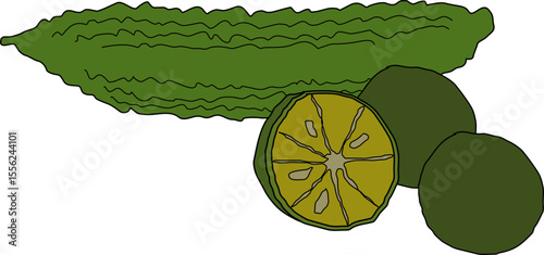 Karela and Calamansi Still Life Food Art Illustration - Artistic Still Life of Bitter Melon and Calamansi Citrus