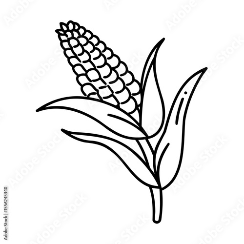 Black line art corn plant with leaves on white background