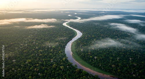 Lush Amazon rainforest canopy covered in morning mist, with dense green foliage and a river cutting through the jungle — aerial view from northern Brazil