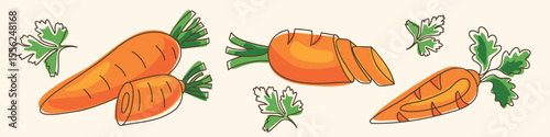 Set of bright orange carrots with sliced pieces and green parsley in flat cartoon style isolated on white background