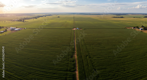 Rolling soybean fields under expansive skies in the agricultural region of Mato Grosso, with traces of machinery and rural infrastructure — agribusiness in Brazil