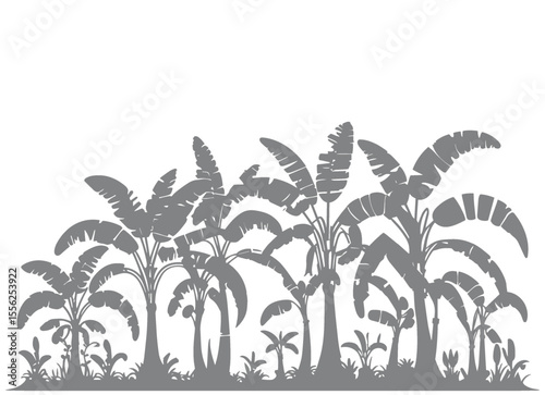 Banana Trees Silhouette for Presentation