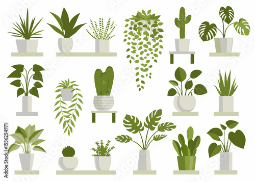 set of green plants