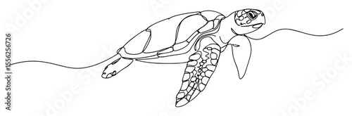 sea turtle swimming line art minimal vector illustration