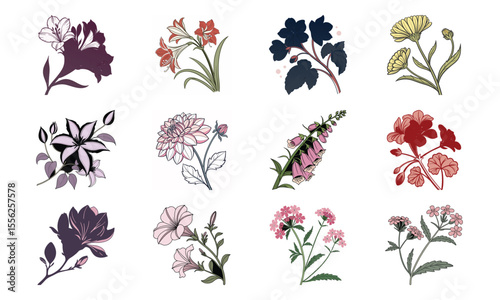 Botanical floral vector set including a collection of colorful hand drawn flowers and blooming plants isolated on white