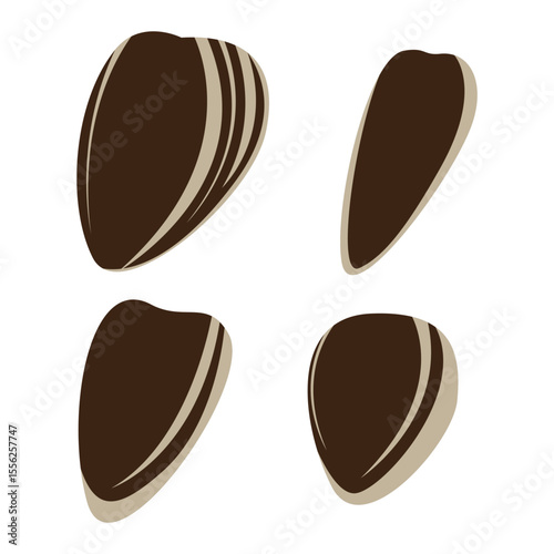 Collection of Sunflower Seed