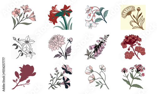 Elegant floral set depicting various flower varieties with outlined and colored styles for artistic design and decoration