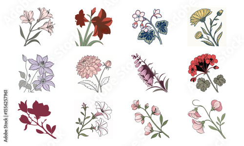 Elegant set of hand drawn floral illustrations showcasing various botanical elements perfect for design projects and decorative applications