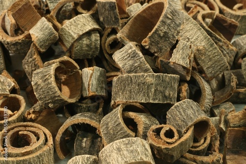 Magnolia Bark Rolled Form Close-up - Traditional Korean Medicinal Herb