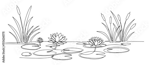 pond with lotus flowers and reeds line art