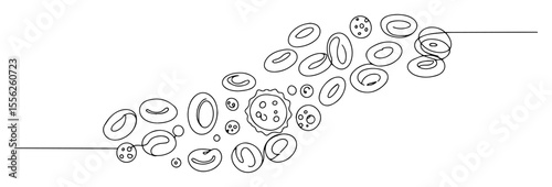 blood cells including red and white types