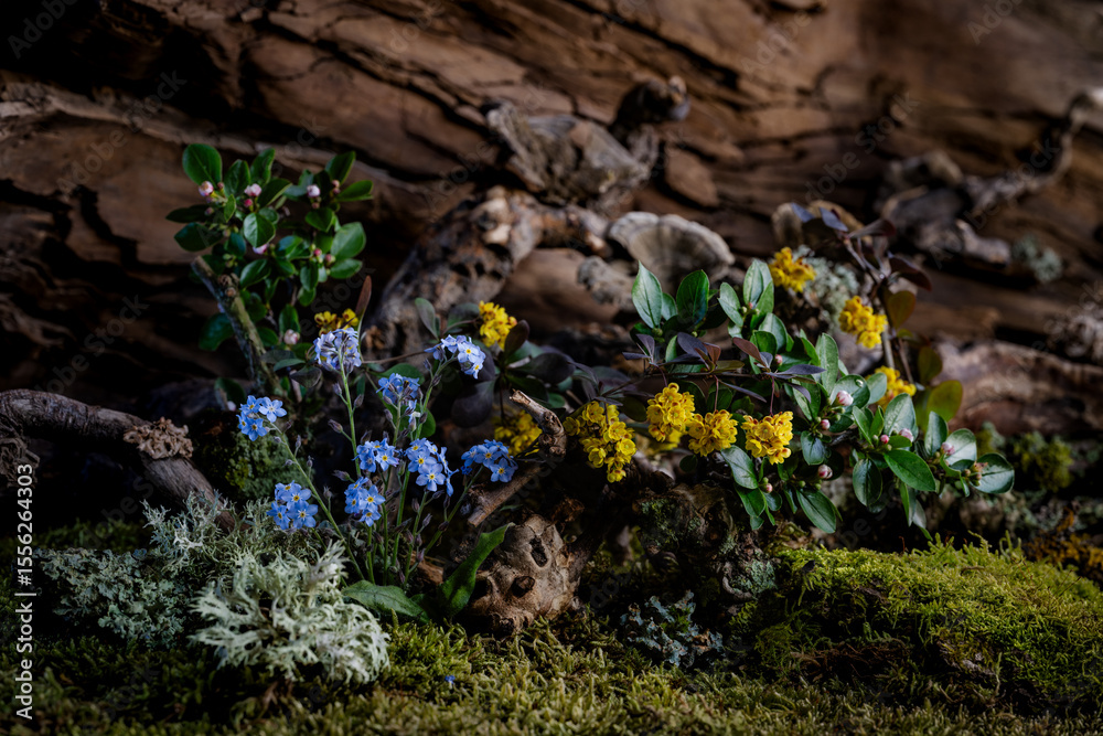 Naklejka premium Wild geranium and veronica flowers bloom in a romantic spring composition, kissed by the breeze. Moss and lichen complement the scene, creating natural harmony and delicate beauty