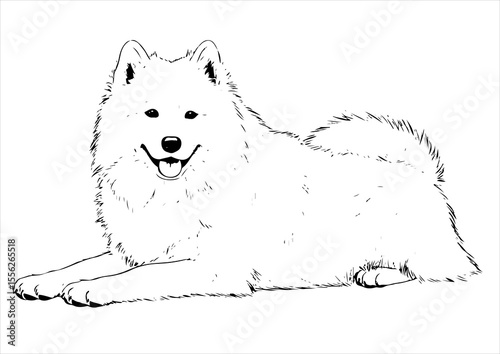 Samoyed dog pet portrait engraving intricate retro hand drawn style line art black and white vector illustration, isolated on white background
