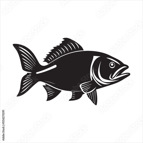 basa sea fish vector illustration