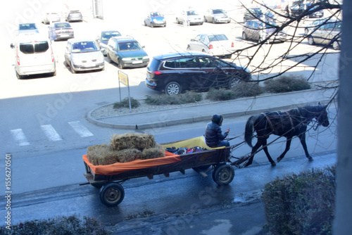 horse and carriage