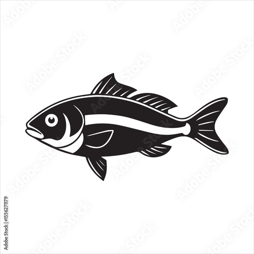 basa sea fish vector illustration