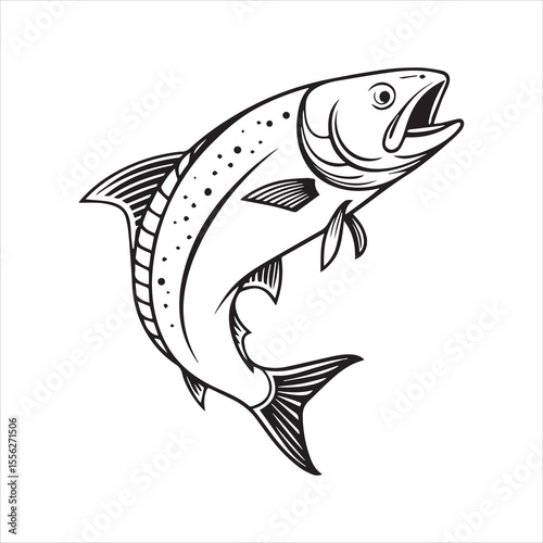 basa sea fish vector illustration
