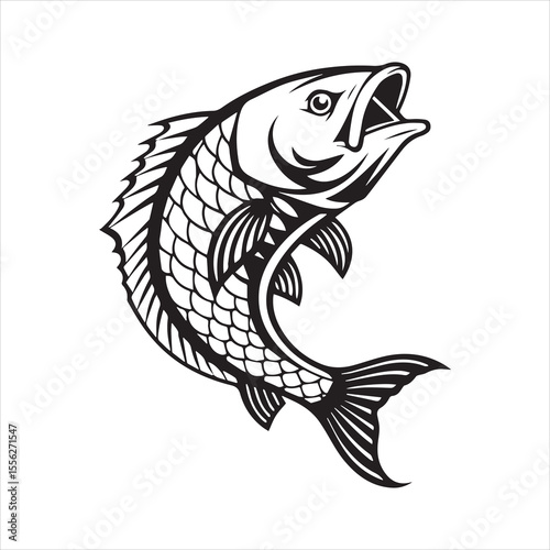 basa sea fish vector illustration