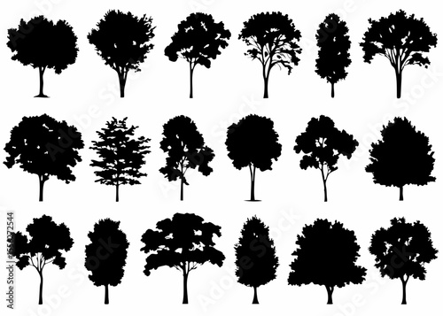 collection of trees