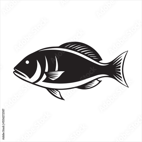 basa sea fish vector illustration