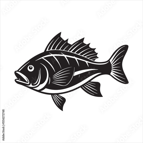 basa sea fish vector illustration