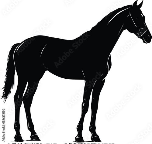Elegant Black Horse Vector Silhouette Profile Illustration