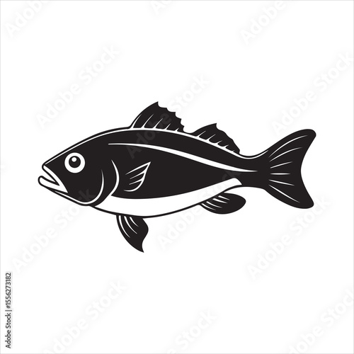 basa sea fish vector illustration