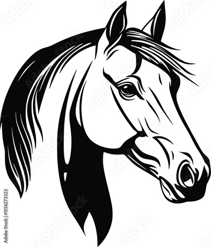 Elegant Horse Head Vector Illustration Strong Graphic Design