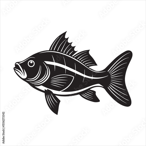 basa sea fish vector illustration