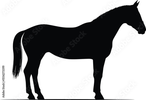 Elegant Horse Silhouette Vector Illustration Profile Design
