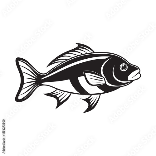 basa sea fish vector illustration