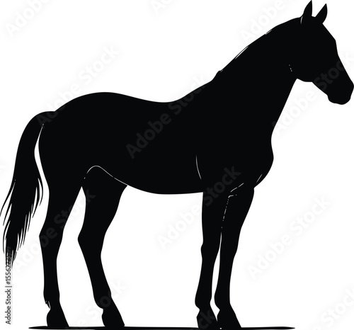 Elegant Black Horse Vector Silhouette Profile Illustration