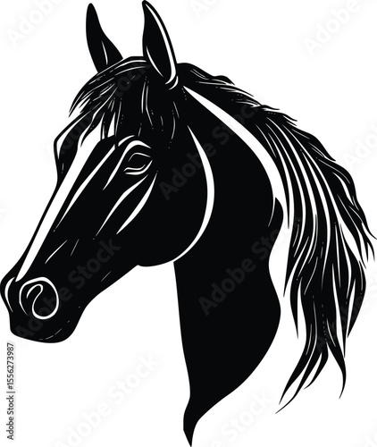 Elegant Black Horse Head Vector Illustration Profile Art