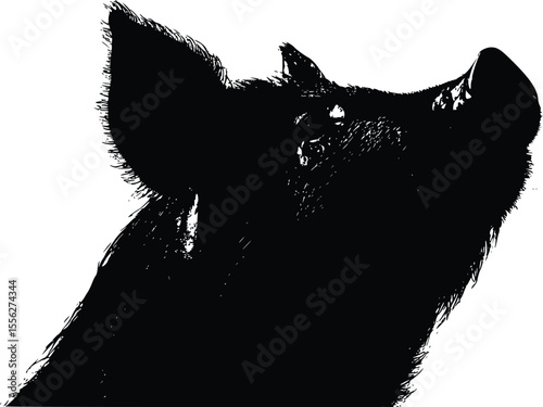 Dramatic Pig Silhouette Vector Illustration Profile Art