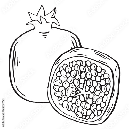 Pomegranate fruit brush sketch illustration. Vector stroke hand drawn food for menu and decoration clip art. Sketch Garnet ripe fruits and half, isolated engraved sign.