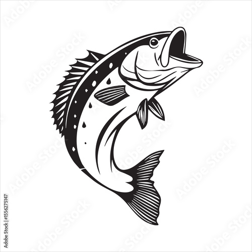 basa sea fish vector illustration