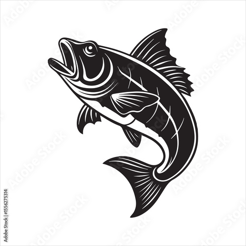 basa sea fish vector illustration
