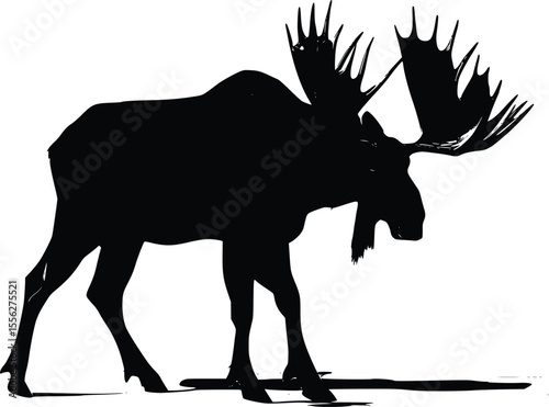 Majestic Moose Silhouette Vector Illustration Dramatic Art