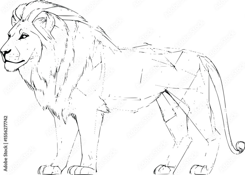 Obraz premium Majestic Lion Vector Illustration Elegant Line Art Design