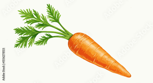 Vibrant Carrot Is Isolated On A White Background Painted With A Delicate Watercolor Technique Emphasizing Its Natural Shape Textures And Healthy Appearance