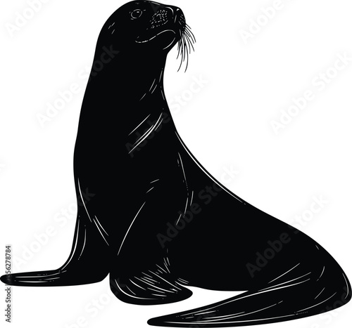 Elegant Vector Sea Lion Silhouette Illustration Graphic Design