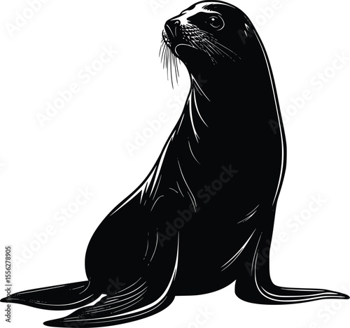 Elegant Vector Sea Lion Silhouette Illustration Graphic Design