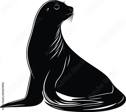 Elegant Vector Silhouette Sea Lion Design Graphic Art