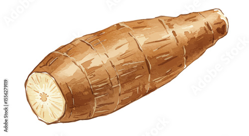 Watercolor Illustration Showcases The Textural Nuances And Organic Form Of A Cassava Root Vegetable Rendered In Warm Earth Tones On A Clean White Backdrop
