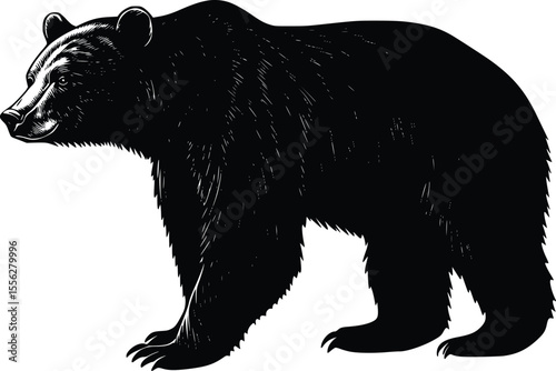 Majestic Grizzly Bear Vector Illustration Strong Profile Design